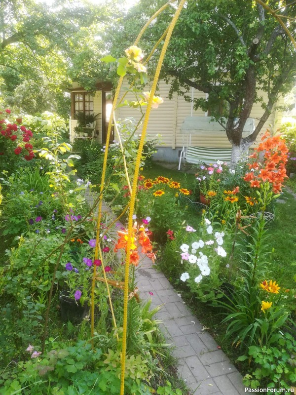 Вспомним лето...