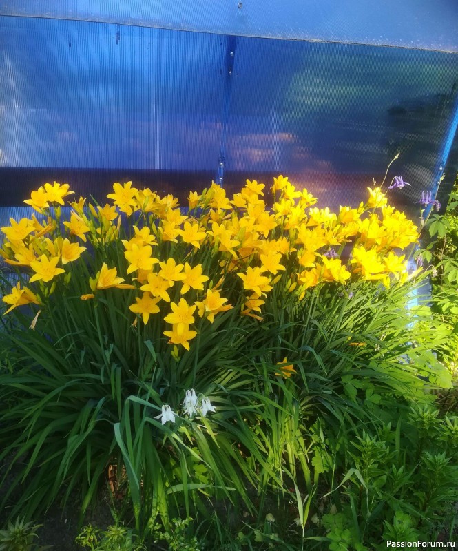 Вспомним лето...