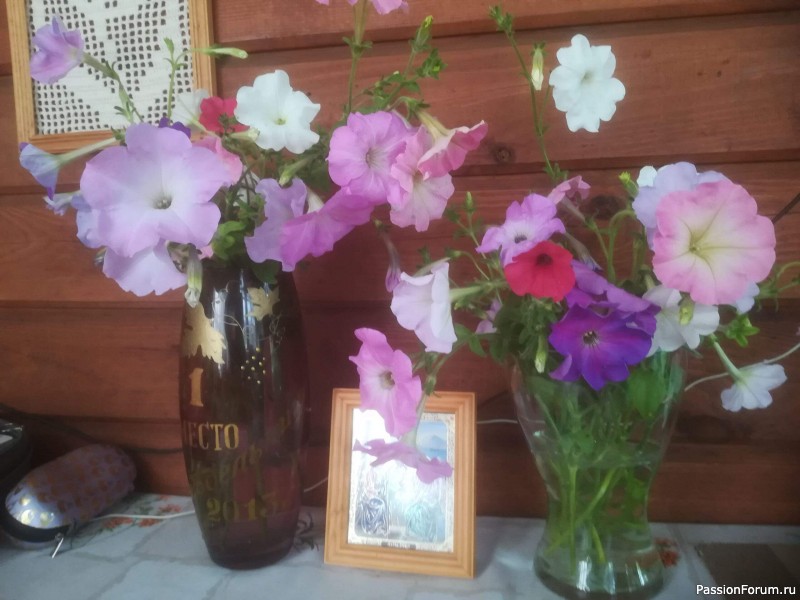 На форуме 10 лет!