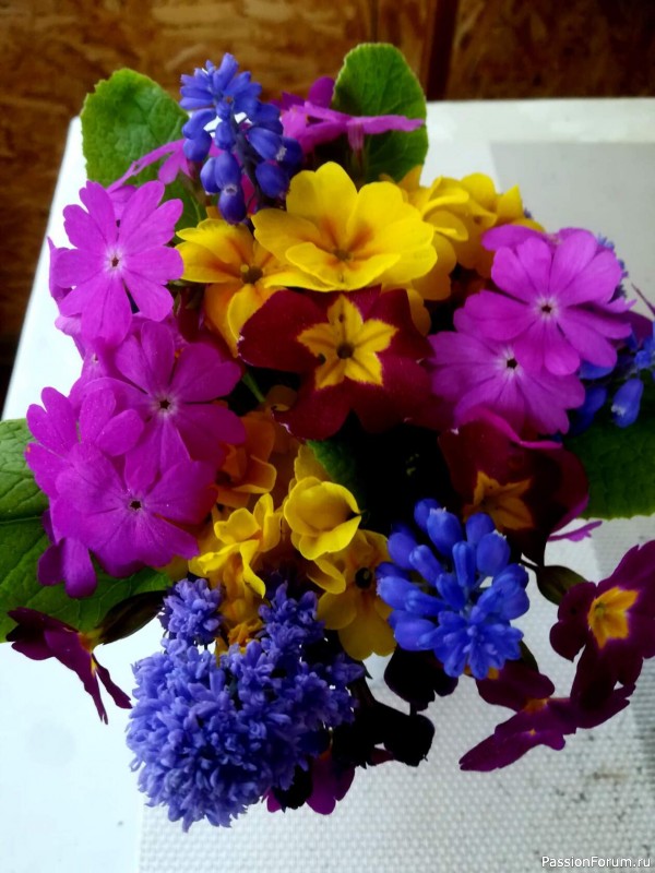 На форуме 10 лет!