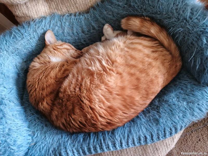 Диванчик для котиков