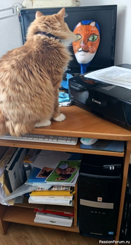 Тигрик - именинник!