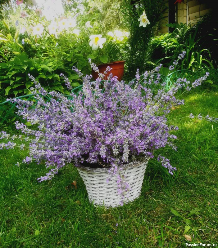 Вспомним лето...