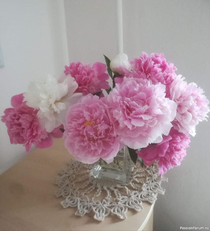 На форуме 10 лет!