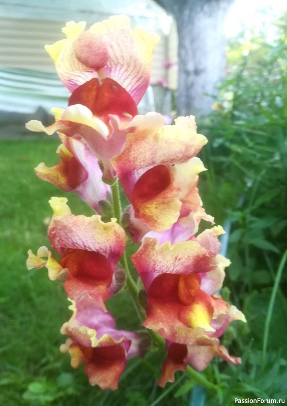 Вспомним лето...