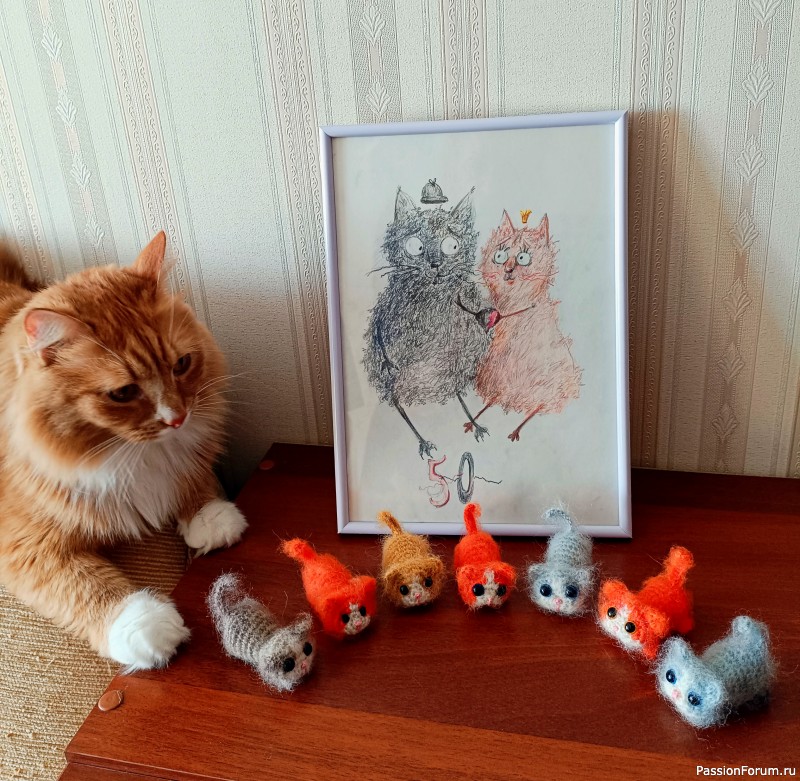 Котики Малявки