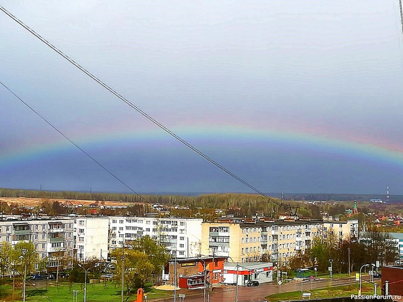 Цветущая весна