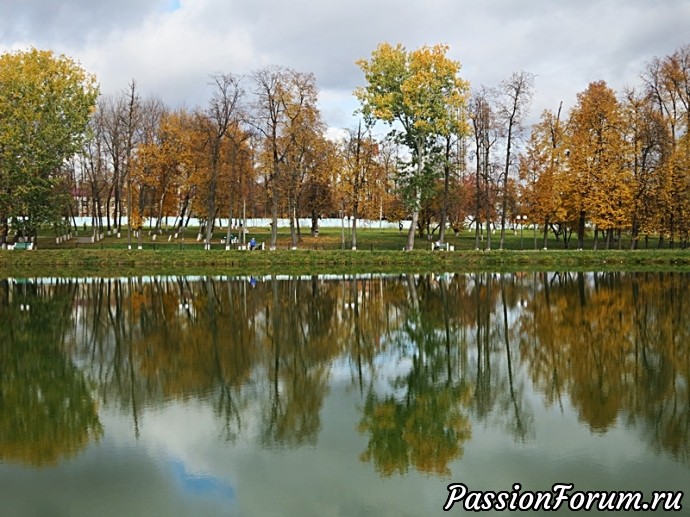 Осень золотая