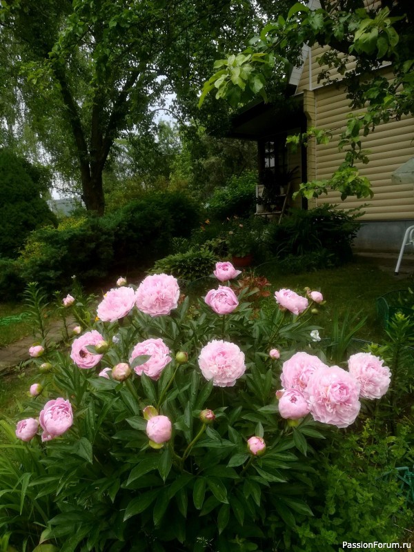 Вспомним лето...