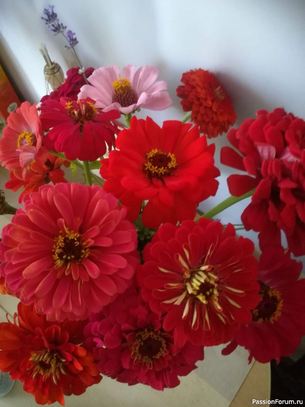 На форуме 10 лет!