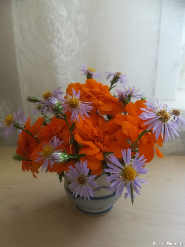 На форуме 10 лет!