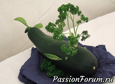Кит из цукинни с фонтаном из кучерявой петрушки,плавники из шкурок гороха. Кит из цукинни с фонтаном из кучерявой петрушки,плавники из шкурок гороха.