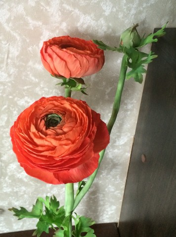 Ранункулюс из фоамирана