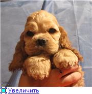 Надежда. Надежда.