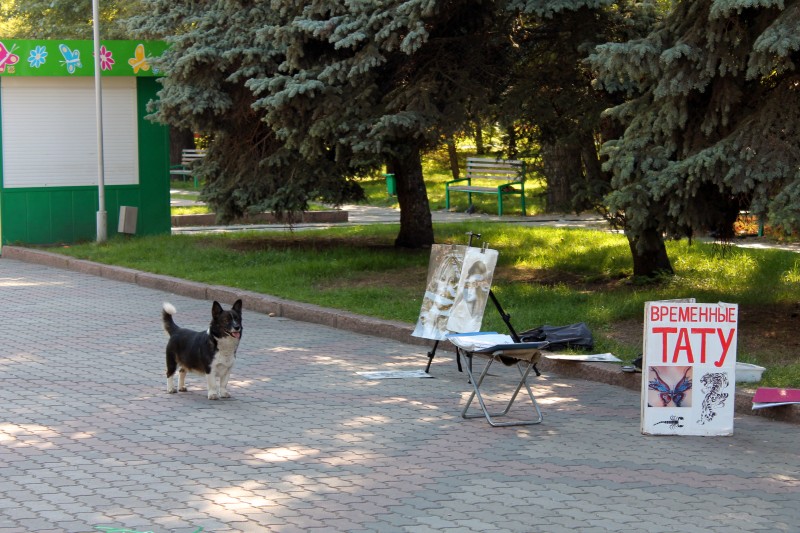 Я люблю свой город. Красноярск.