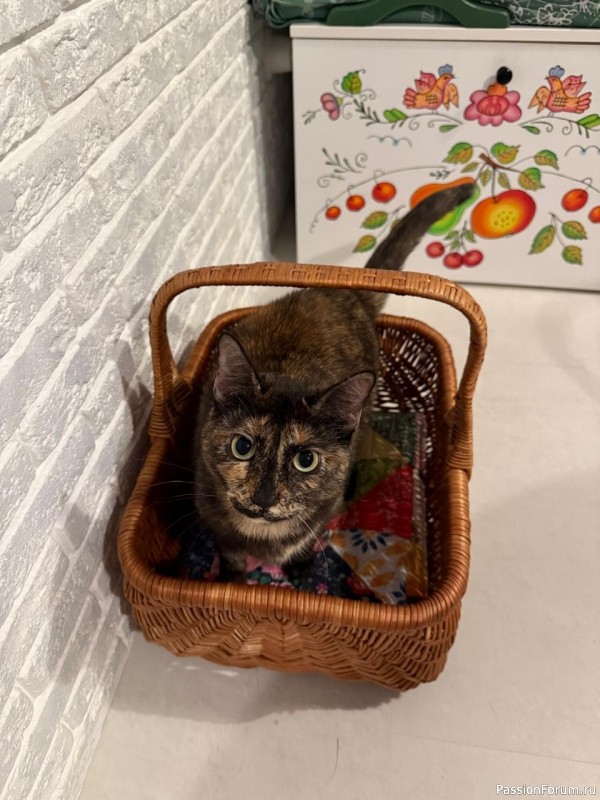 Жизнь лоскутного в интерьере