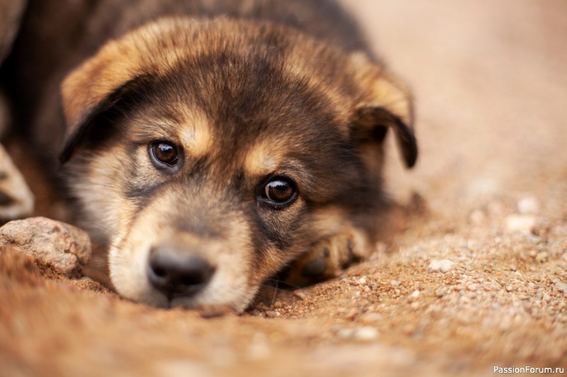 Вспомнить прошлое Вспомнить прошлое