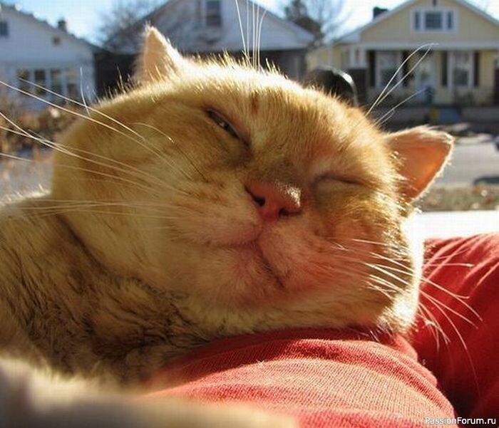 "Неблагодарный" "Неблагодарный"