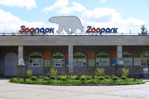 Зверская работа. Хулиган, Мигрень и царь джунглей
