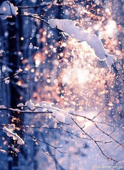 ИВАНУШКА (зимняя сказка)