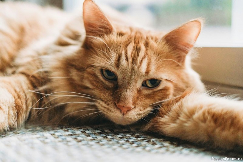 Не того поймала