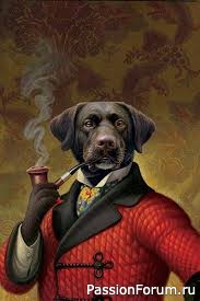 Реинкарнация