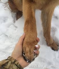 Надо разговаривать