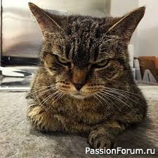 "Дымка". Т.Нурмухаметов
