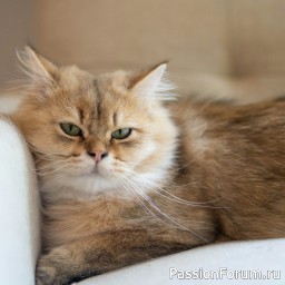 Девочка с характером