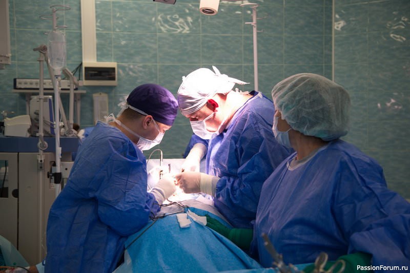 ЖДИТЕ ЗА ДВЕРЬЮ