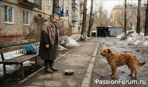 "Доверие". И.Чижова