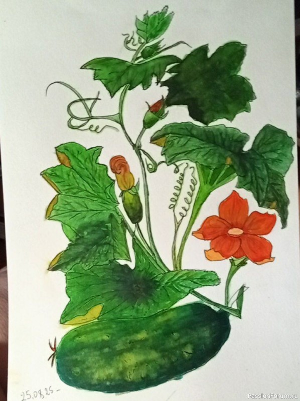 Похвастушки