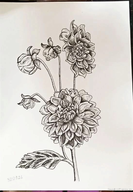 Сентябрьские рисунки