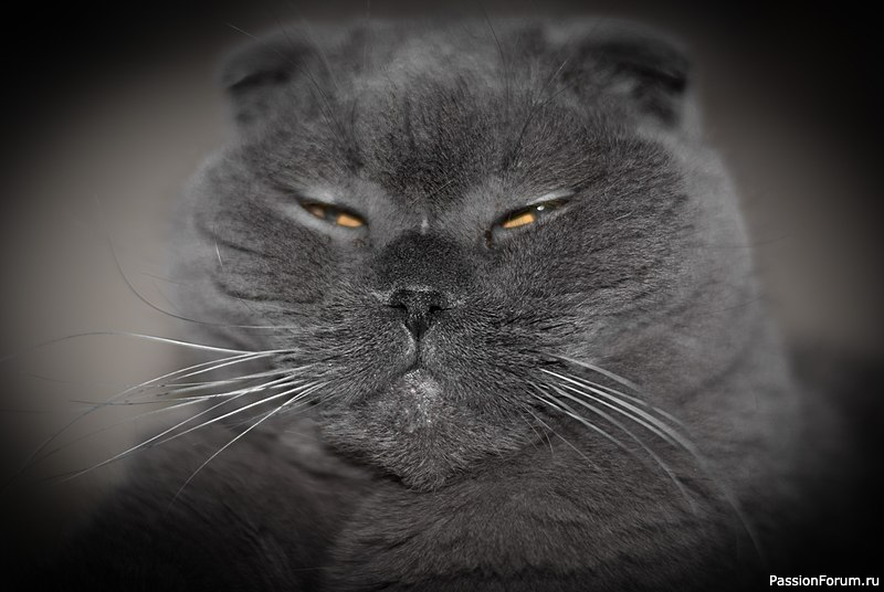 "ТОВАР" ОБМЕНУ И ВОЗВРАТУ НЕ ПОДЛЕЖИТ