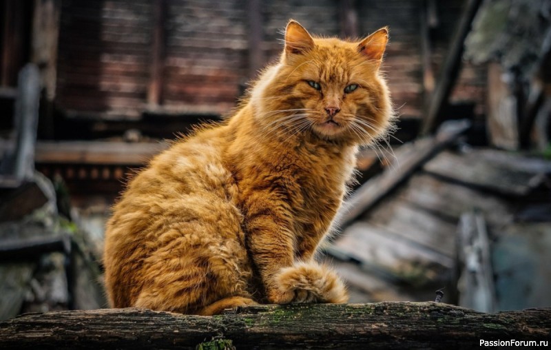 ТЫ БУДЕШЬ БОРОТЬСЯ!