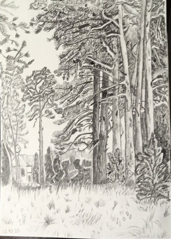 Похвастушки