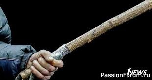 ВОЛШЕБНАЯ ПАЛКА