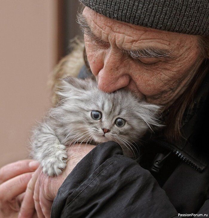 По ком гудят клаксоны