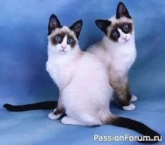 ПО ЗАКОУЛКАМ ПАМЯТИ. УМКА