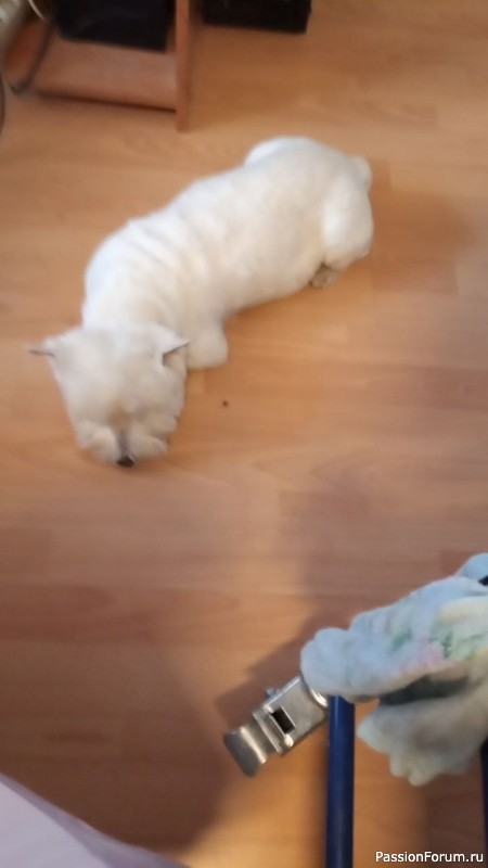 Мир не без добрых людей