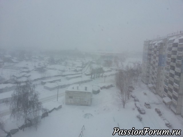 Весь Барнаул в снегу - Метель...