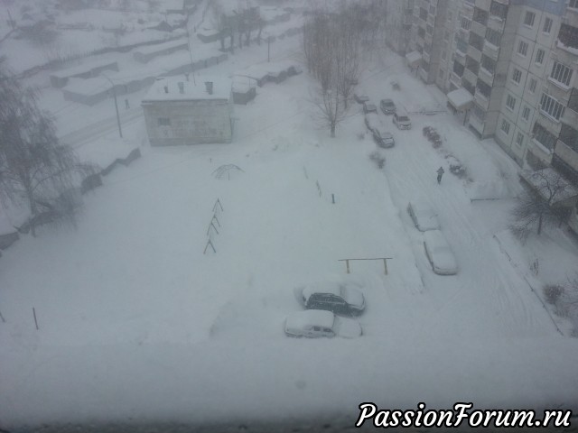 Весь Барнаул в снегу - Метель...