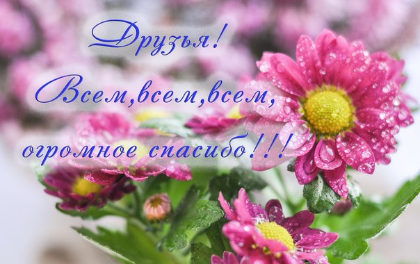 Хочется необычного поздравления для мамы