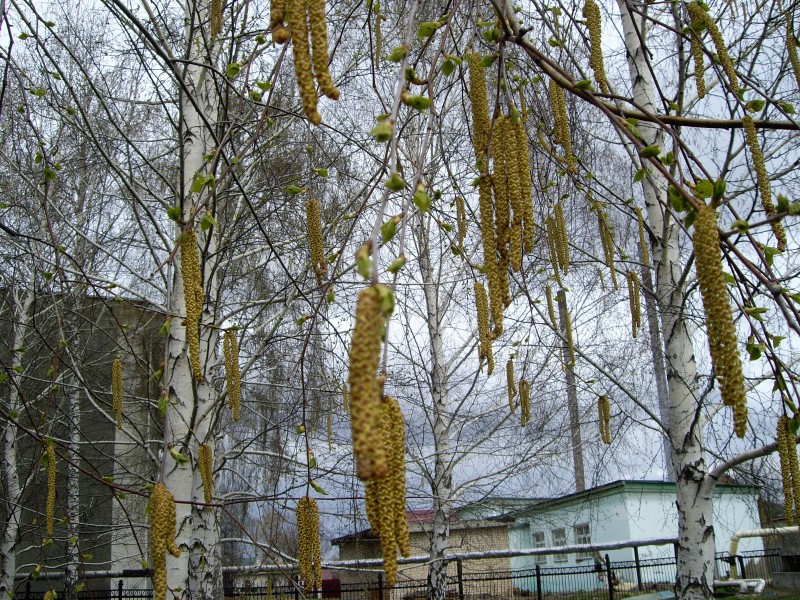 Весна в городе