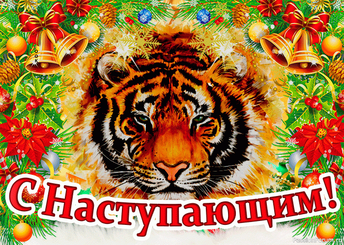 С наступающим новым 2022 годом!!!