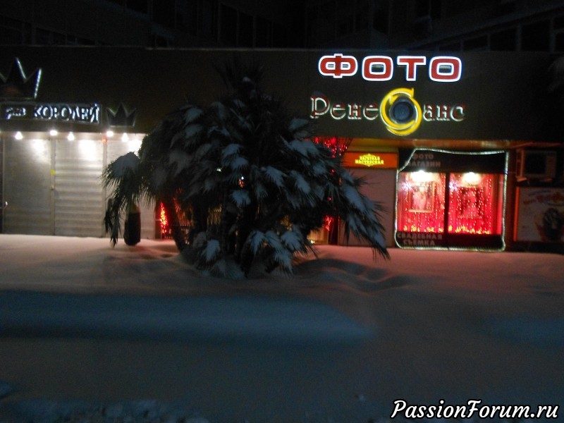 Вот она и настала......катаКЛИЗЬМА ( в продолжение рассказа о зиме в Сочи)!