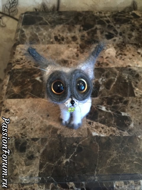 Котик Lucky!