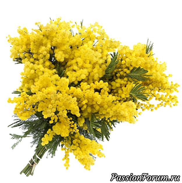 С 8 Марта!
