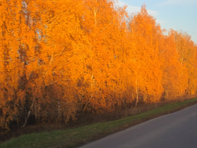 ОКУНУЛИСЬ В ОСЕНЬ...