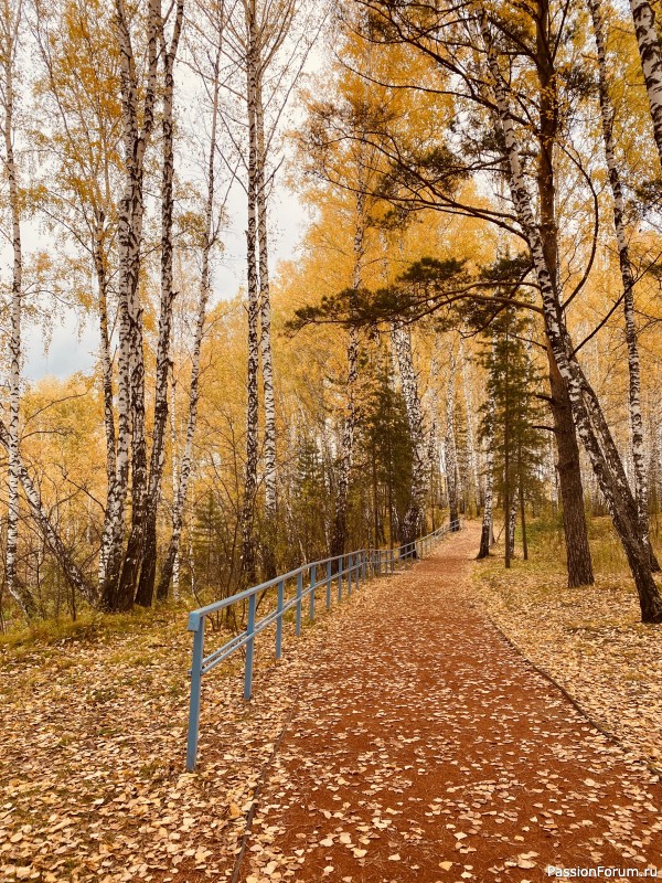 Осенние зарисовки